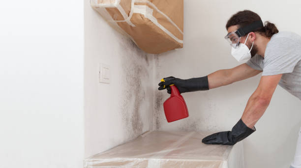 Professional Attic Mold Remediation technician working in Livingston, TX
