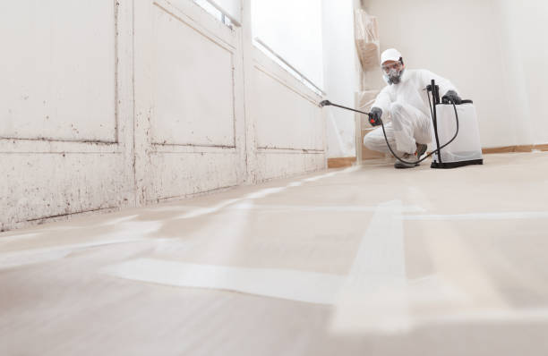 24/7 Emergency Attic Mold Remediation experts in Livingston, TX